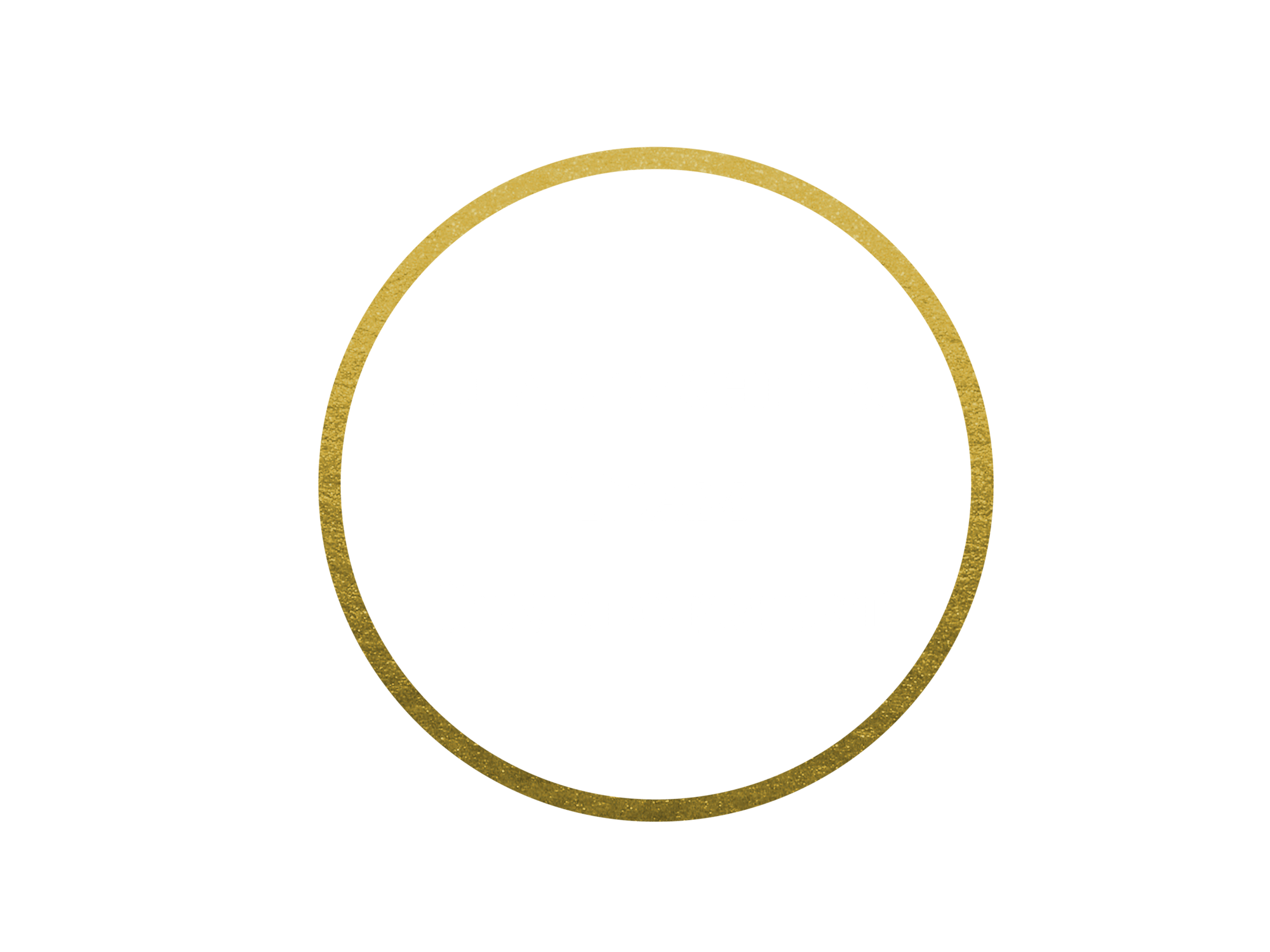 Copy of Areas of Expertise (14)