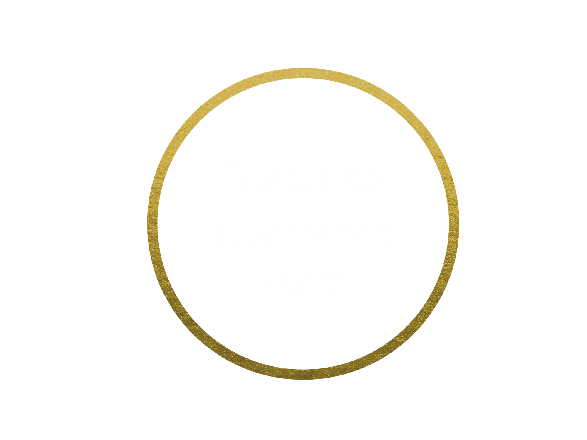 Copy of Areas of Expertise (15)